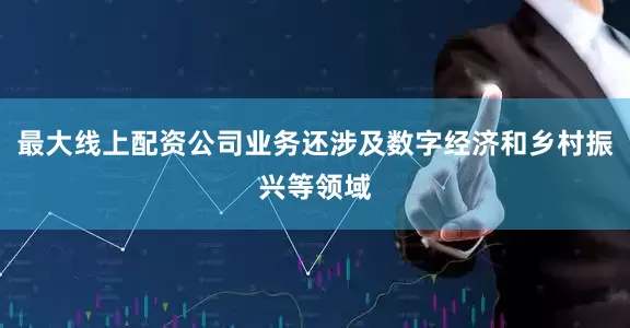 最大线上配资公司业务还涉及数字经济和乡村振兴等领域